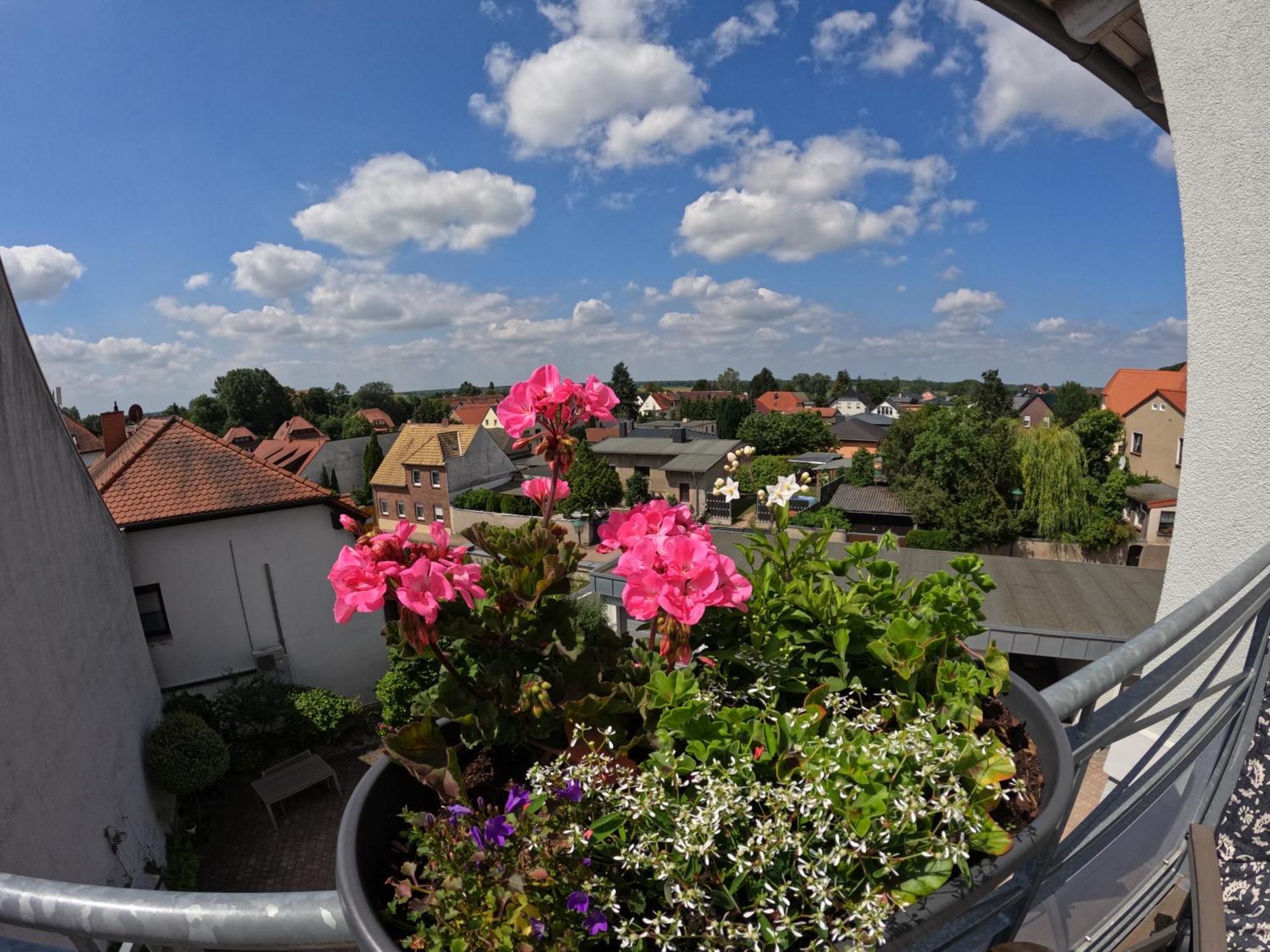 Ausblick